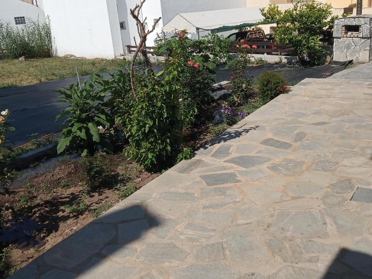 Apartament Pandora *